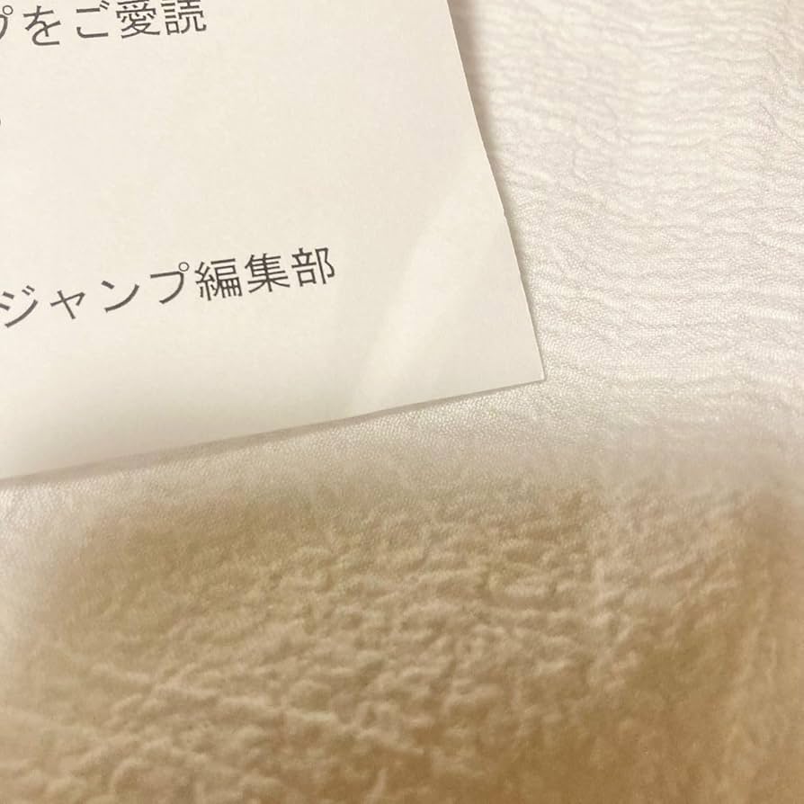 【200個限定】呪術廻戦 人気投票アクリルスタンド 5周年 伏黒 虎杖 五条 5月23日発売『呪術廻戦』商品: |集英社ジャンプキャラクターズストア